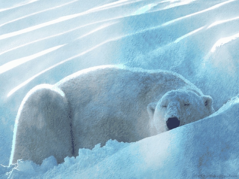 试管ph值4.5,试管木塞密封酒精